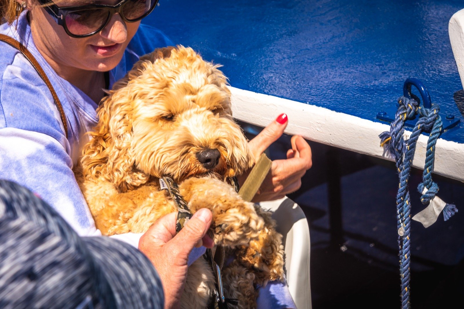 golden puppy onboard a boat being held by its owner 