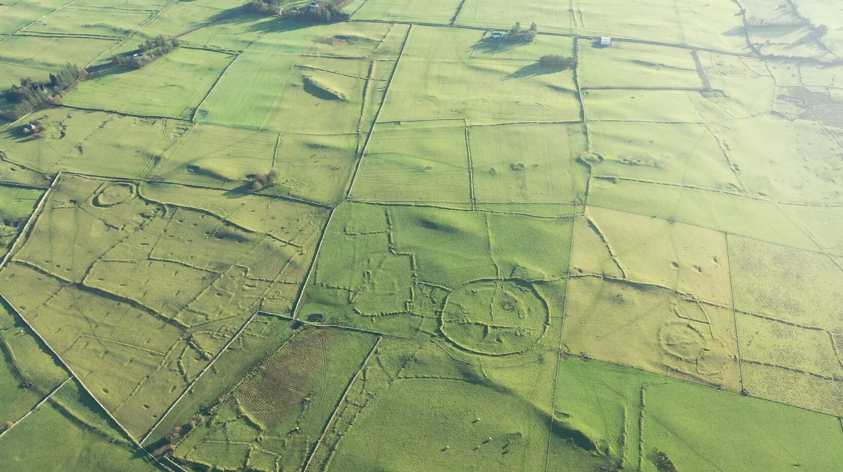 an aerial overview of many green fields separated by walls and hedges
