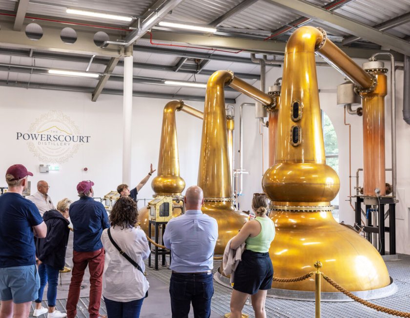 people standing beside gold whiskey machines