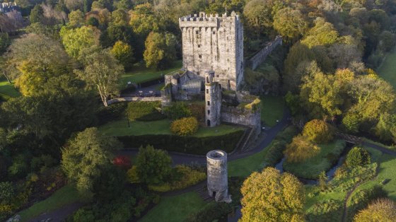 ariel view of stone castle surrounded by trees